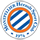 Pronostici Ligue 1 Montpellier domenica 16 gennaio 2022