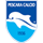 Pronostici Serie B Pescara sabato 19 dicembre 2020