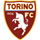 Pronostici Serie A Torino domenica  7 maggio 2023