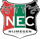 Pronostici Eredivisie Nijmegen sabato 28 gennaio 2023