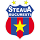 Pronostici Champions League Steaua Bucarest martedì 25 luglio 2017