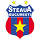 Pronostici scommesse chance mix Steaua Bucarest sabato 29 luglio 2023