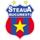 Pronostici calcio Superliga Romania Fcsb Bucarest lunedì  8 maggio 2023