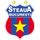 Pronostici scommesse chance mix Fcsb Bucarest domenica 25 luglio 2021