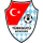 Pronostici 3. Liga Germania Turkgucu Munchen martedì 25 gennaio 2022