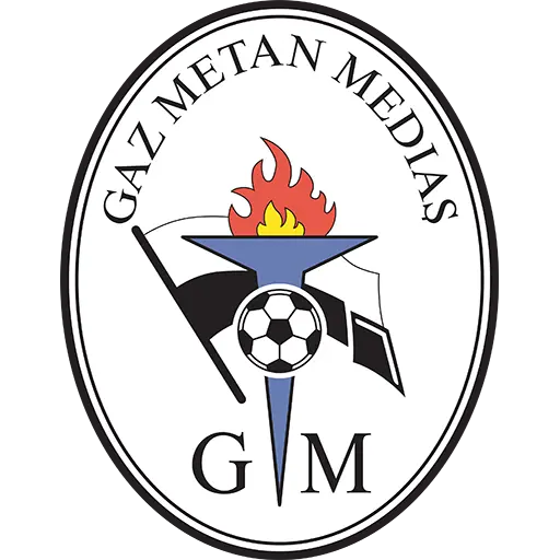Logo Gaz Metan Medias
