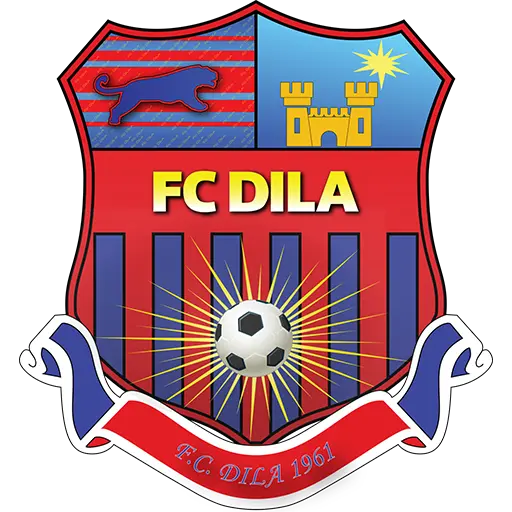 Logo Dila Gori
