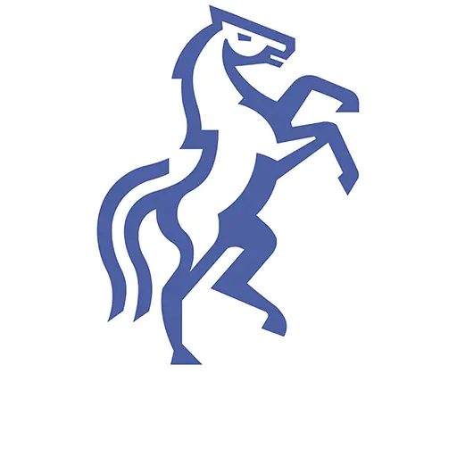 Logo CSM Iasi