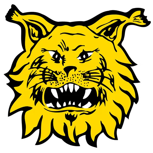 Logo Ilves