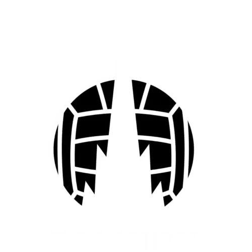 Logo Falkirk